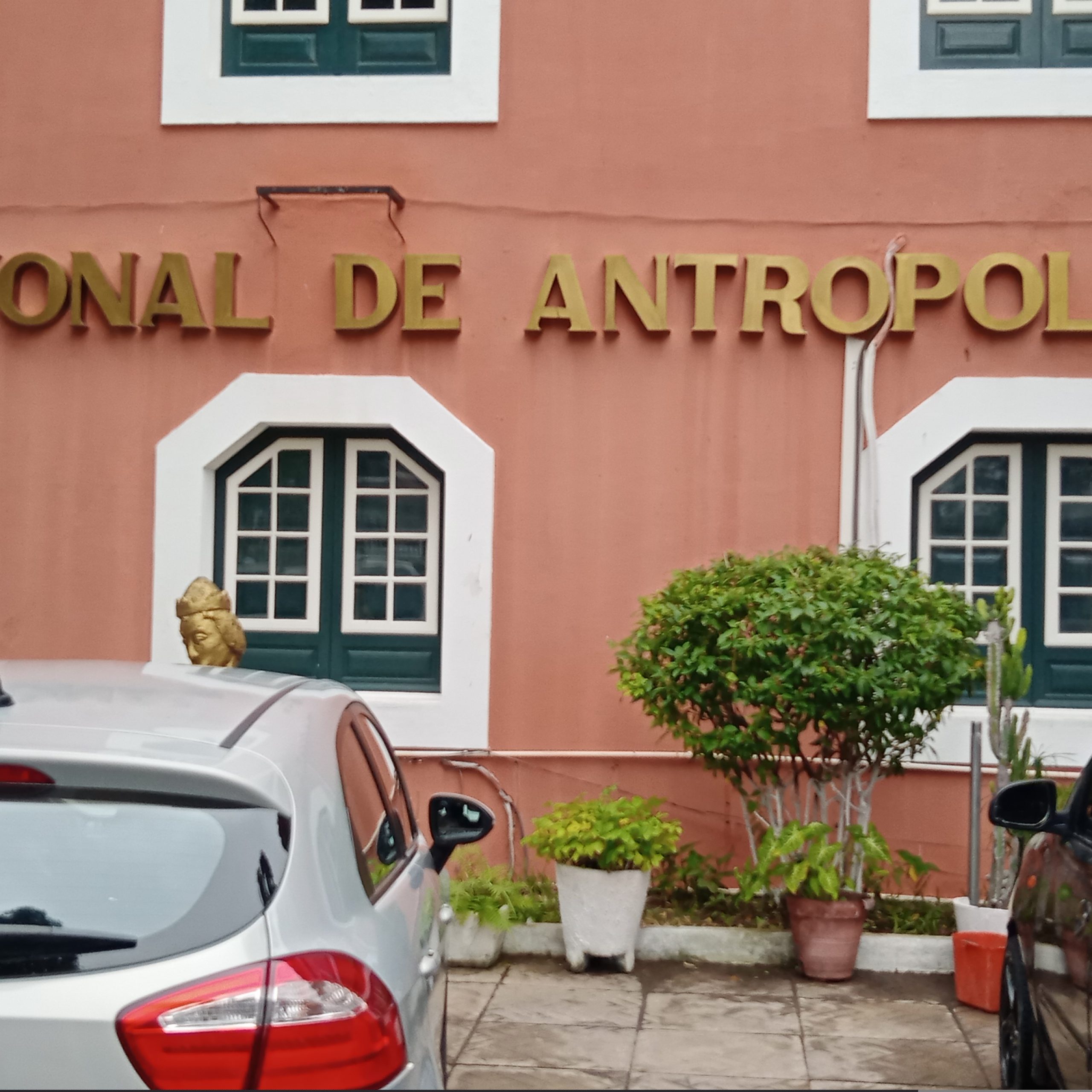 Museu da Antropologia 